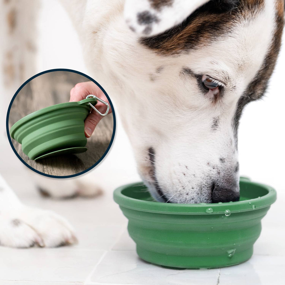 Puppington Slow Feeder/Water Travel Bowl