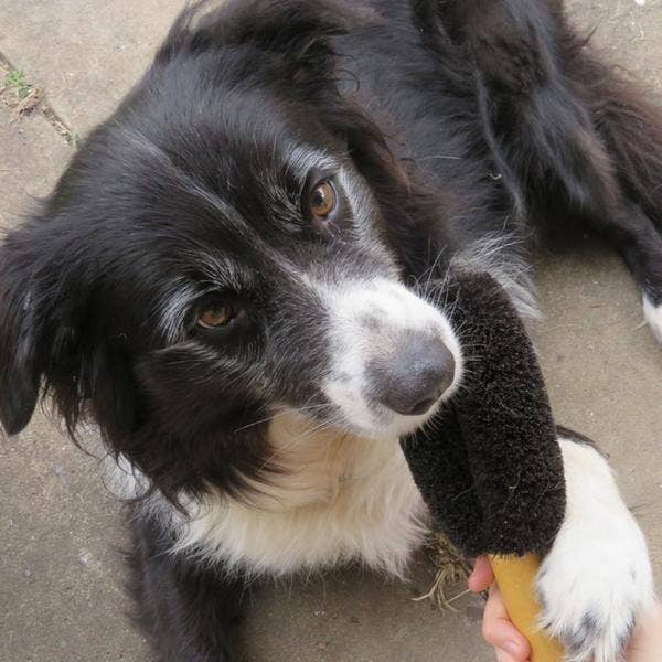 EcoMax Wash &amp; Groom Pet Brush — Natural Fiber &amp; Timber