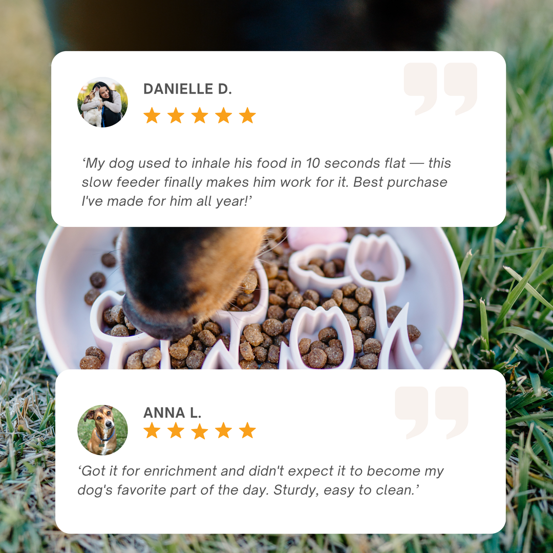 Customer reviews for the durable slow feeder bowl highlighting its effectiveness and ease of cleaning for dogs.