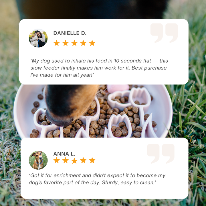 Love Slow Feeder Bowl — Snow