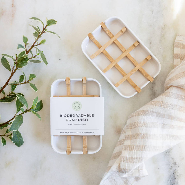 Biodegradable Soap Dish — Earth Ahead