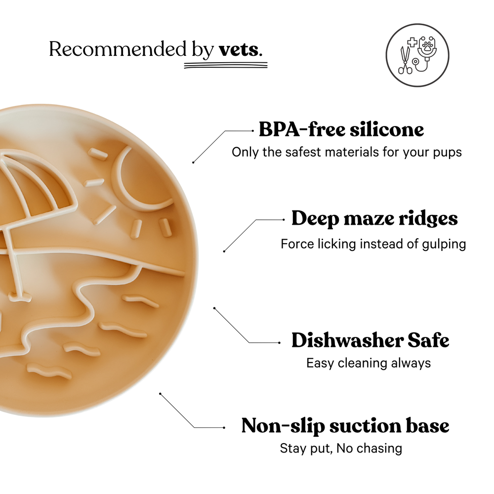Graphic showcasing features of Sun Beach Slow Feeder Bowl, including BPA-free silicone, deep maze ridges, dishwasher safe, and non-slip base.