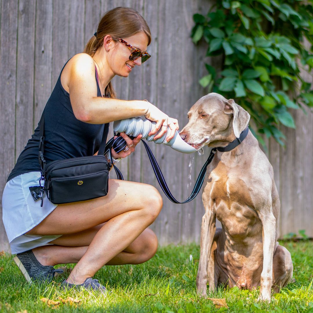 Puppington Flip &amp; Serve Dog Water Bottle
