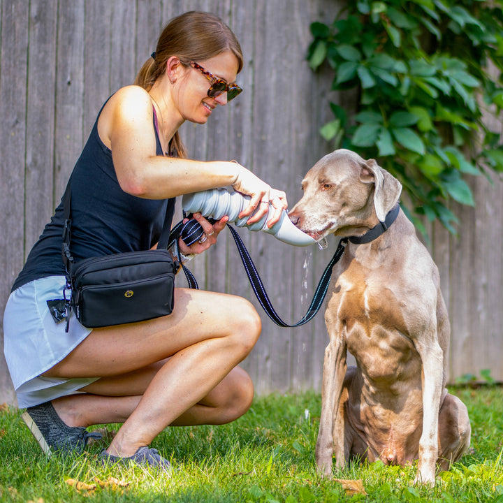 Puppington Flip &amp; Serve Dog Water Bottle