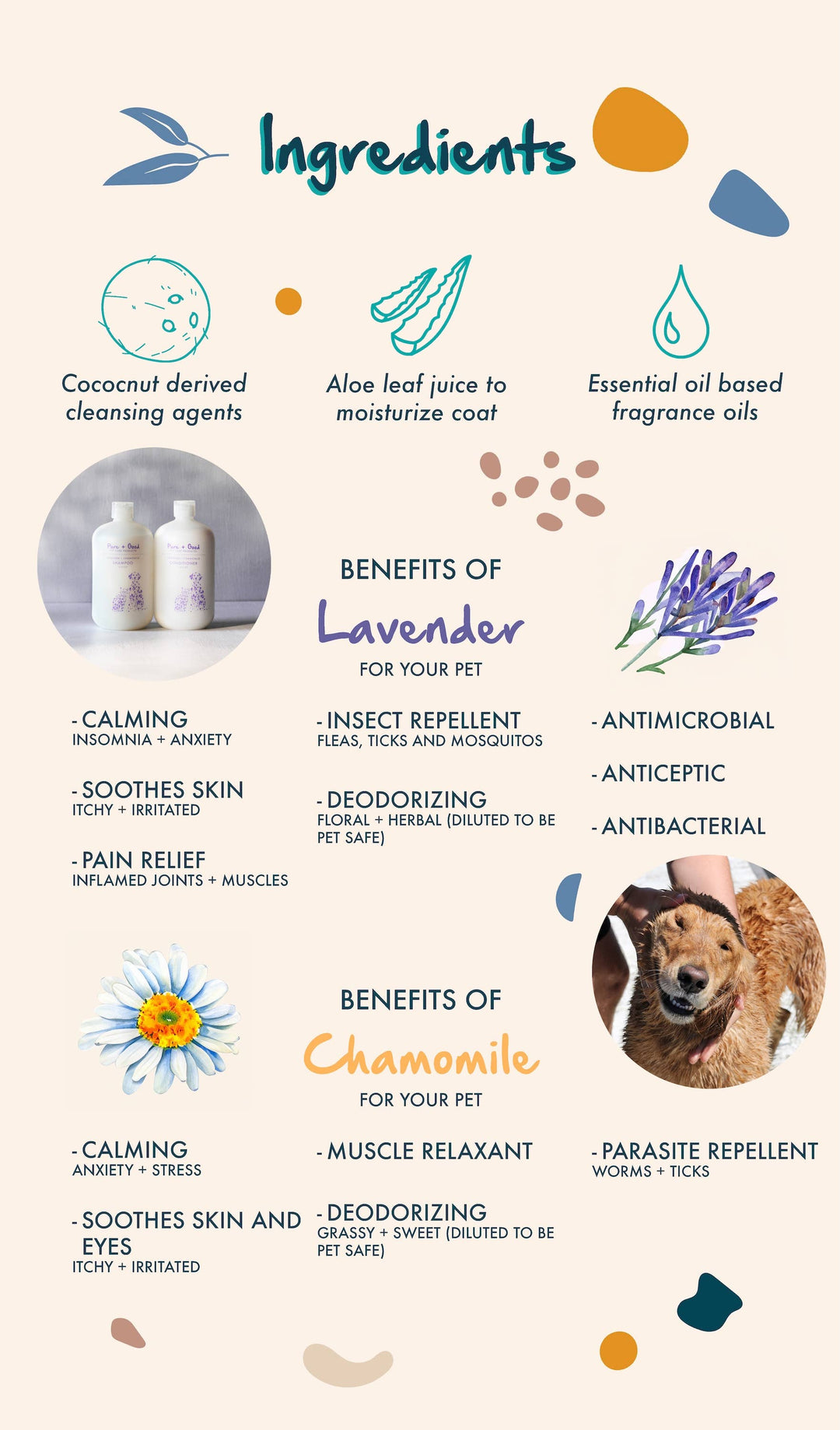 Dog Shampoo — Lavender + Chamomile