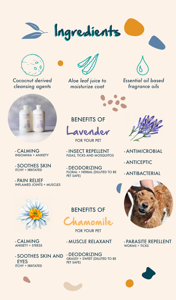 Dog Conditioner — Lavender + Chamomile