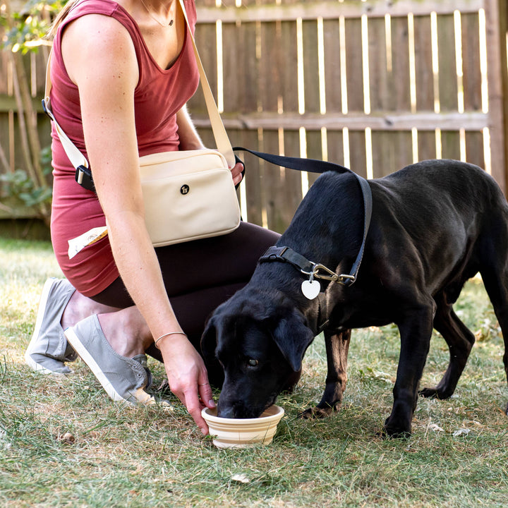Puppington Slow Feeder/Water Travel Bowl