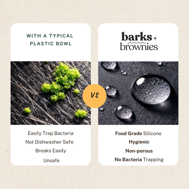 Comparison of a typical plastic bowl with the barks+ brownies durable slow feeder bowl highlighting safety and hygiene features.