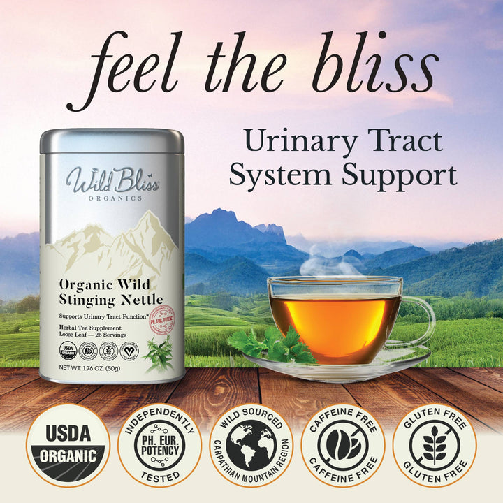 Organic Wild Stinging Nettle — Loose Leaf Wellness Tea