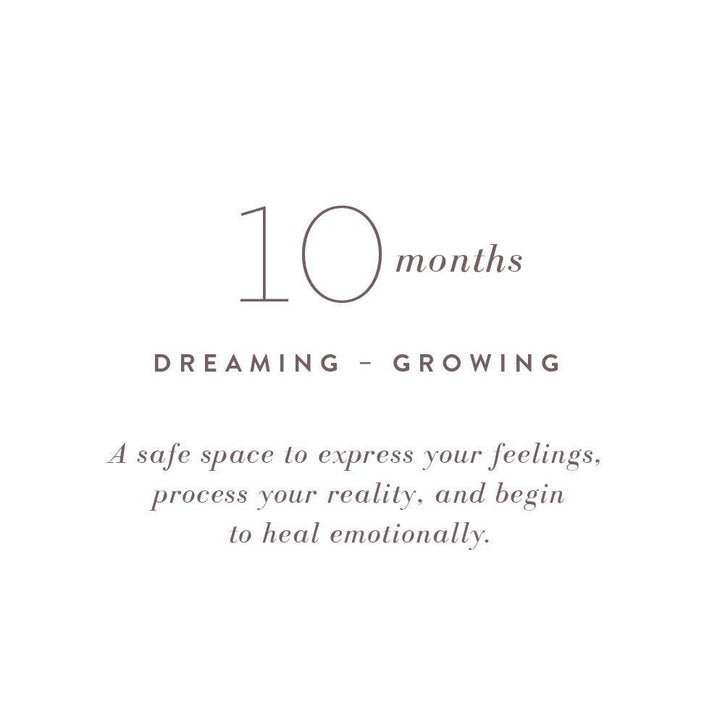 My Fertility Journal: A Healing Journey — Wheat