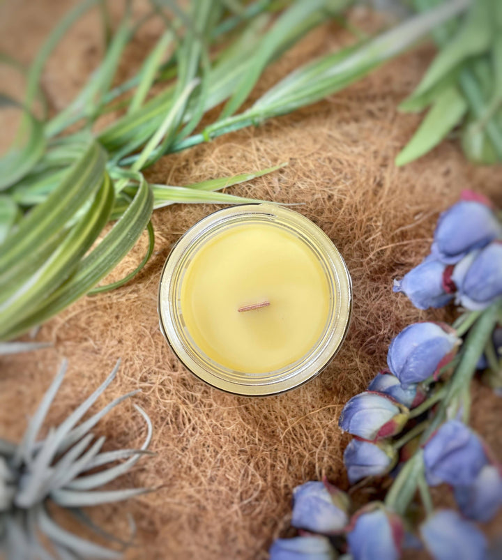 Beeswax &amp; Coconut Oil Candle — Lavender o Cedarwood Pine