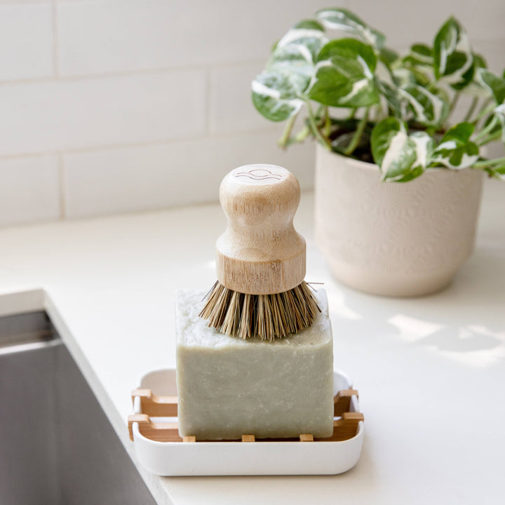 Biodegradable Soap Dish — Earth Ahead