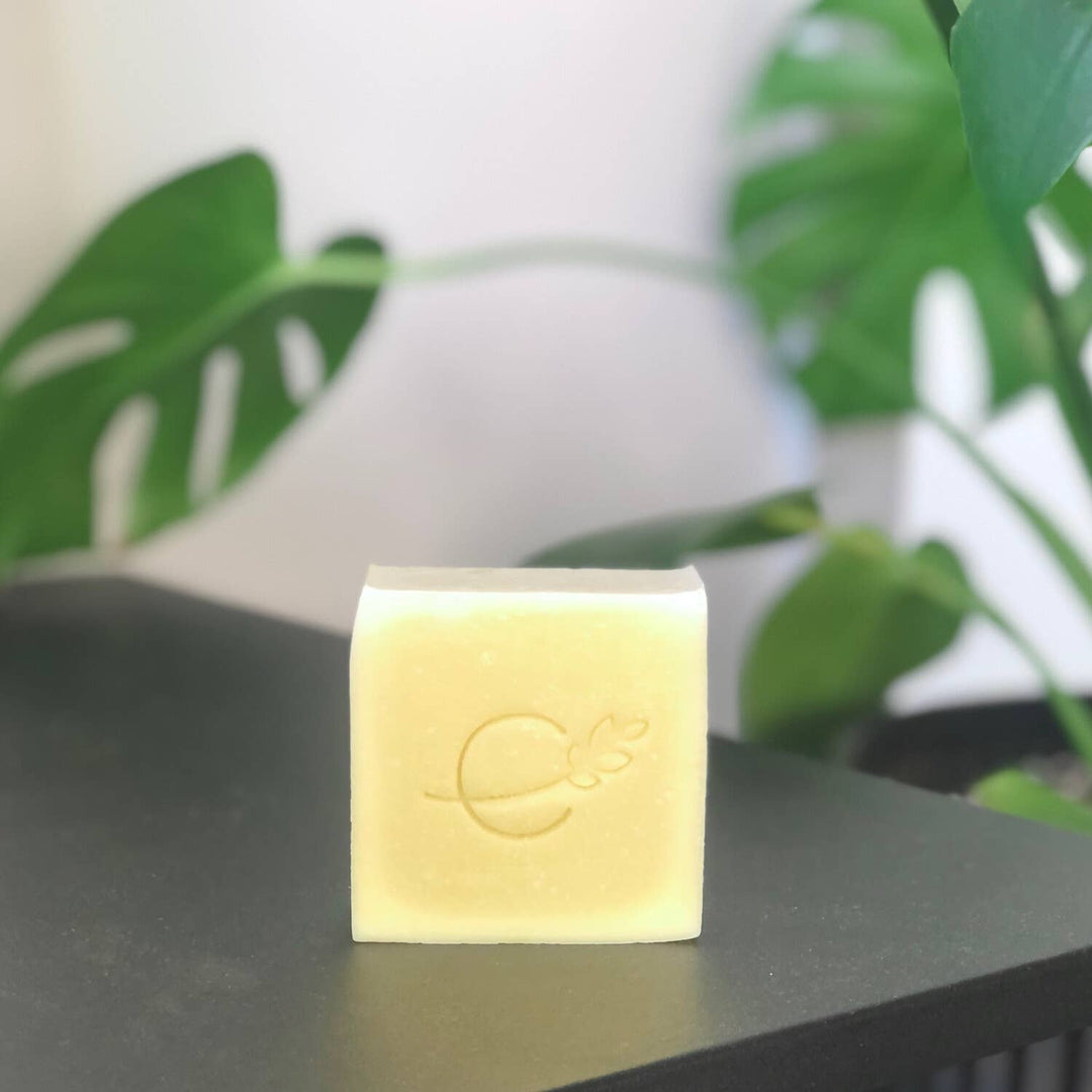All-Natural Vegan Soap — Small-Batch Artisan