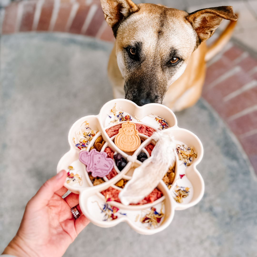 Love Slow Feeder Bowl — Snow