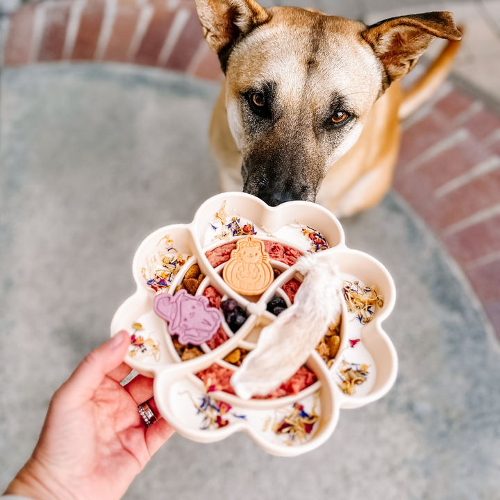 Love Slow Feeder Bowl — Snow
