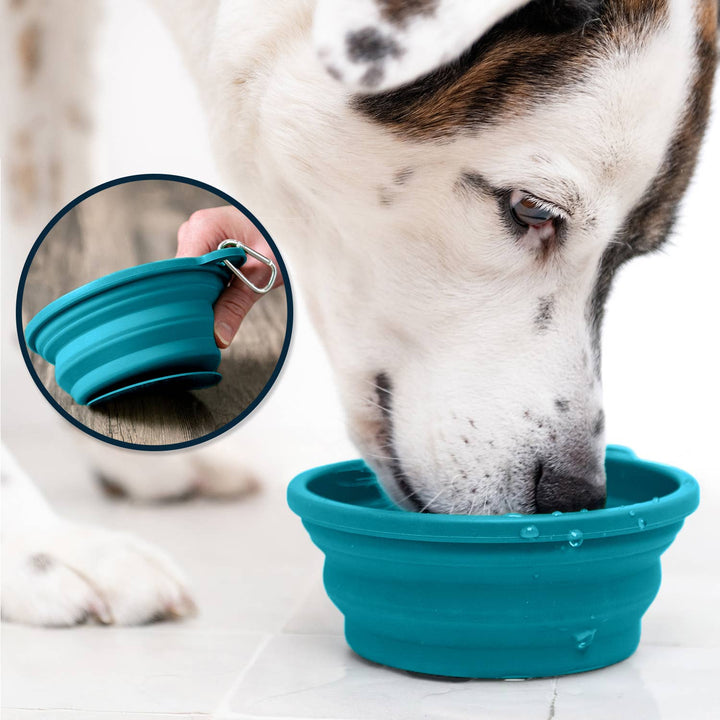 Puppington Slow Feeder/Water Travel Bowl
