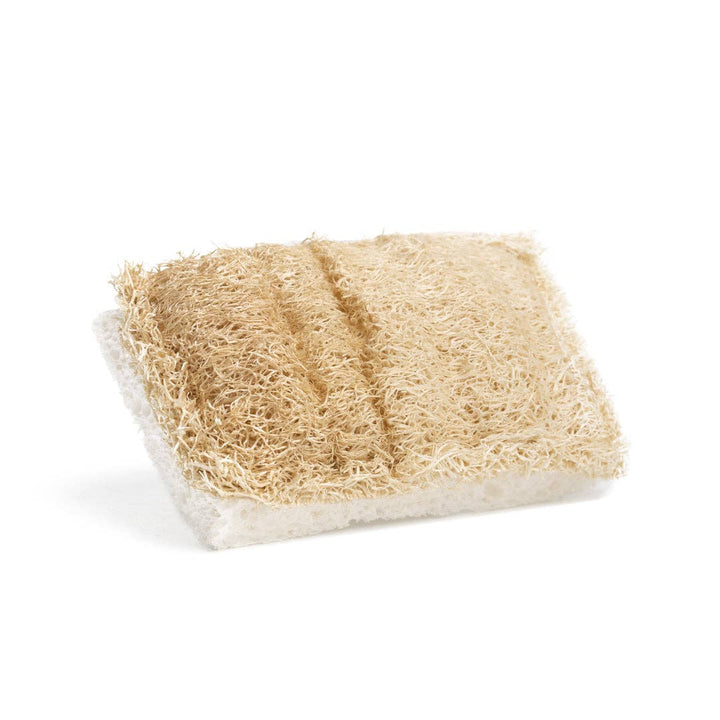 Cellulose &amp; Loofah Dish Sponge