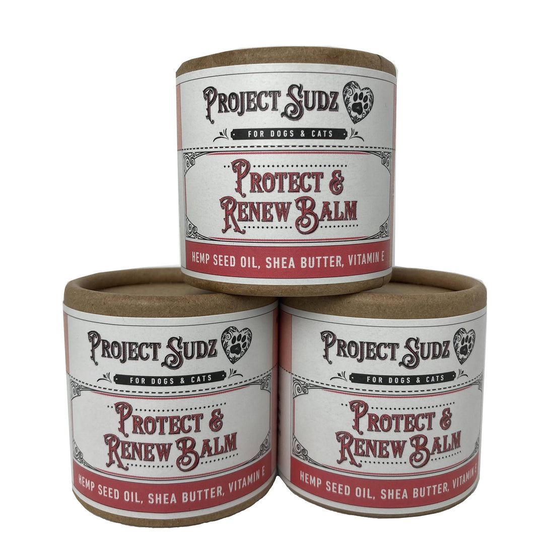 Protect &amp; Renew Paw &amp; Snout Balm — Project Sudz