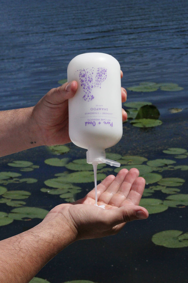 Dog Shampoo — Lavender + Chamomile