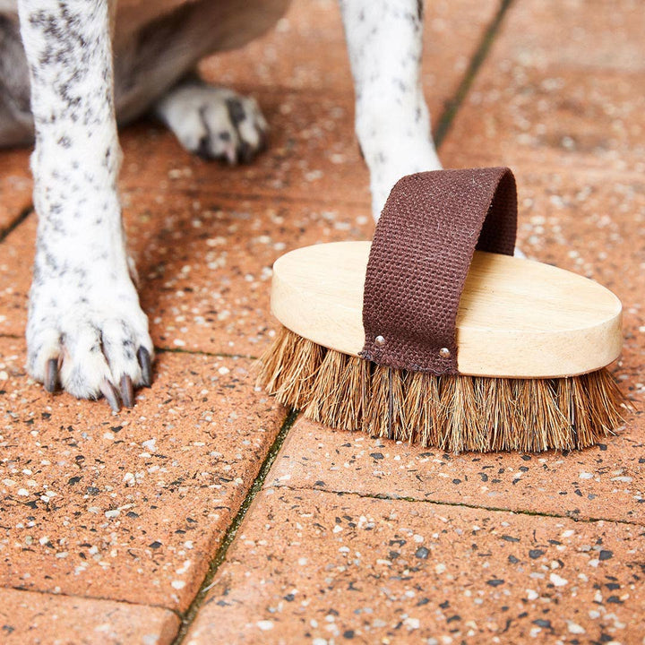 Plastic-Free Pet Grooming Brush — Natural Fiber &amp; Rubberwood