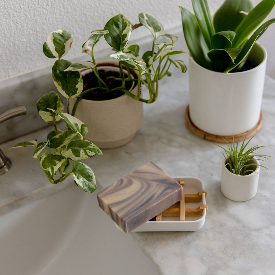 Biodegradable Soap Dish — Earth Ahead