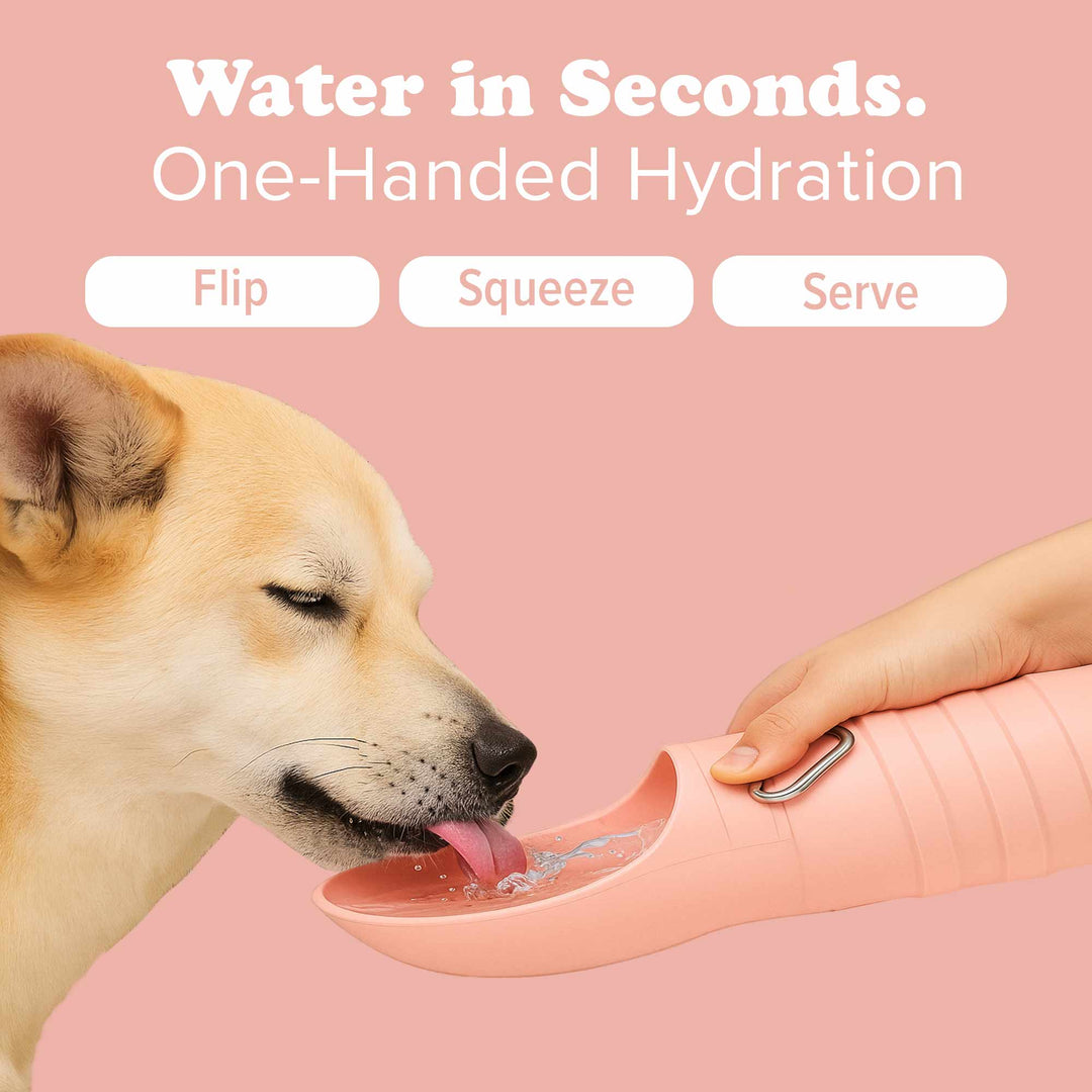 Puppington Flip &amp; Serve Dog Water Bottle